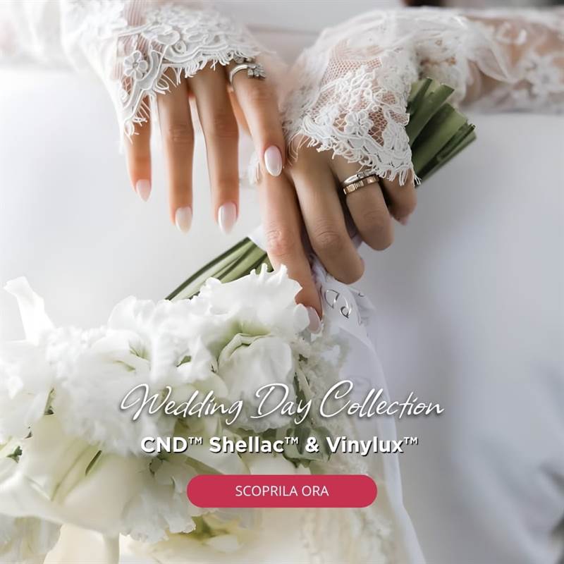 WEDDING DAY Collection 2026